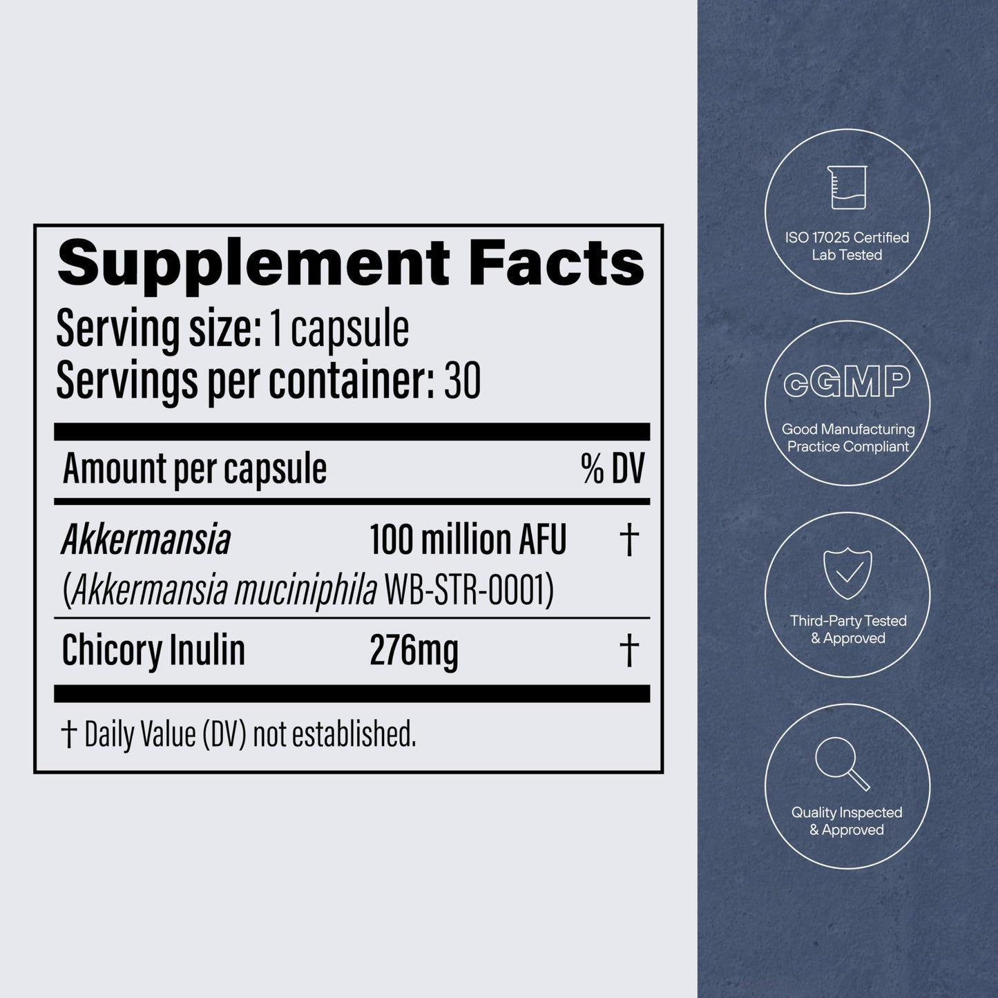 Pendulum Akkermansia Probiotic with Prebiotic Fiber – 100M AFU, Delayed Release, 30 Capsules
