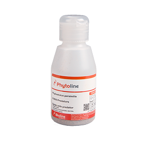Red Spider Mite Killer (Phytoseiulus Persimilis)