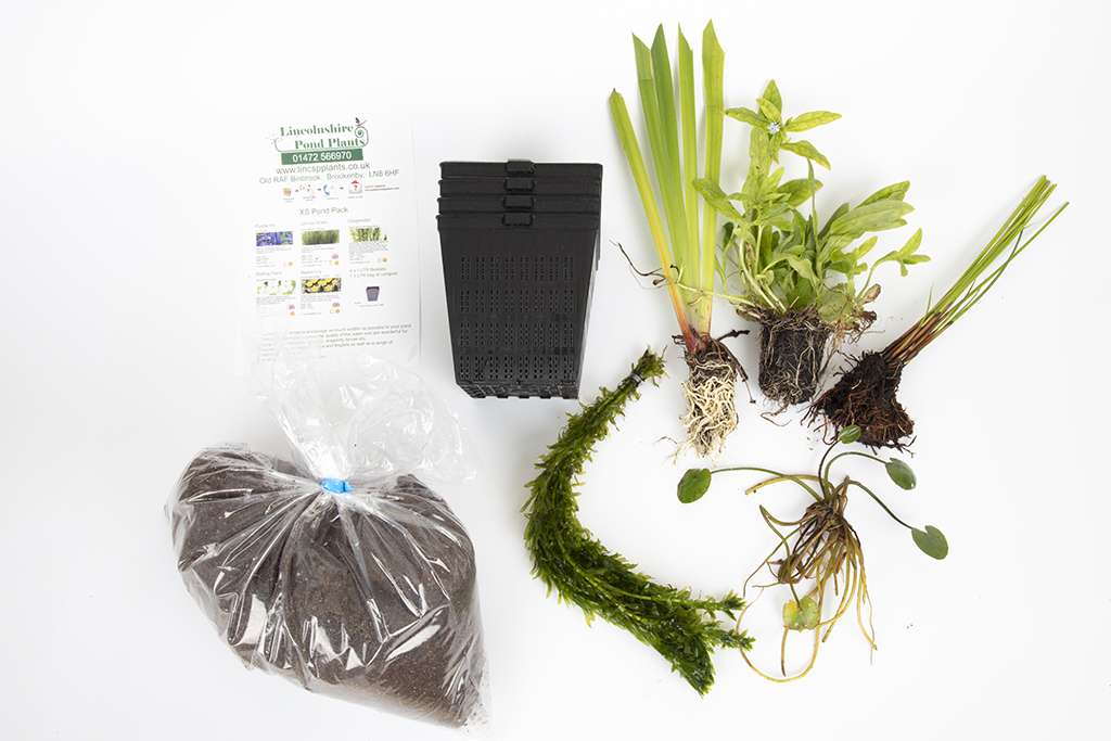 Pond Starter Packs - Pond topup Packs - Oxygenating - Compost and Pots Potted