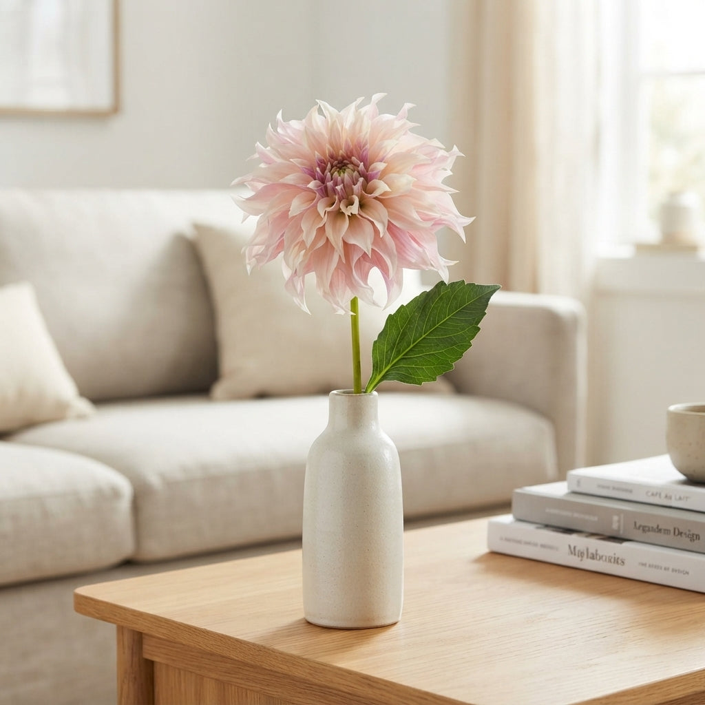 Dahlia Café au Lait