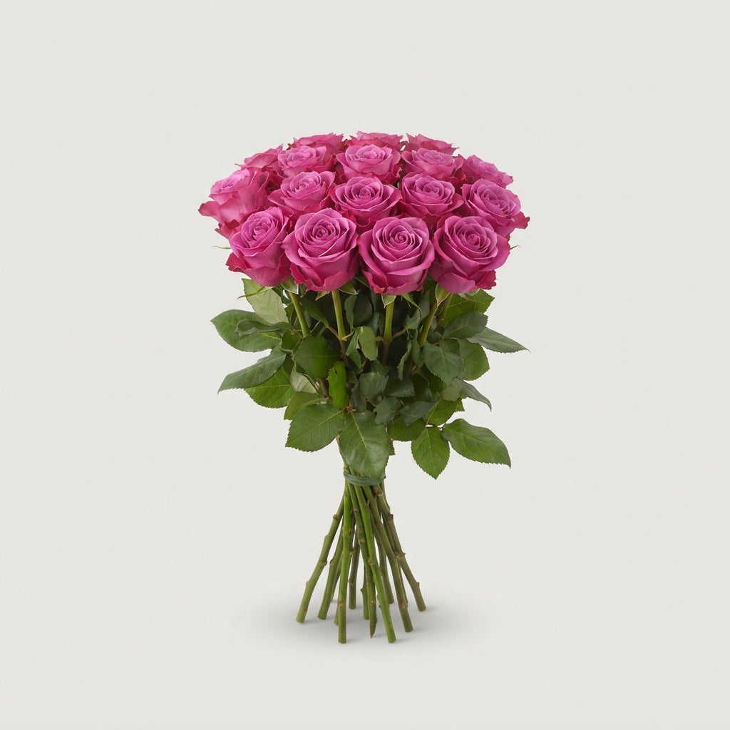 Rose Deep Purple