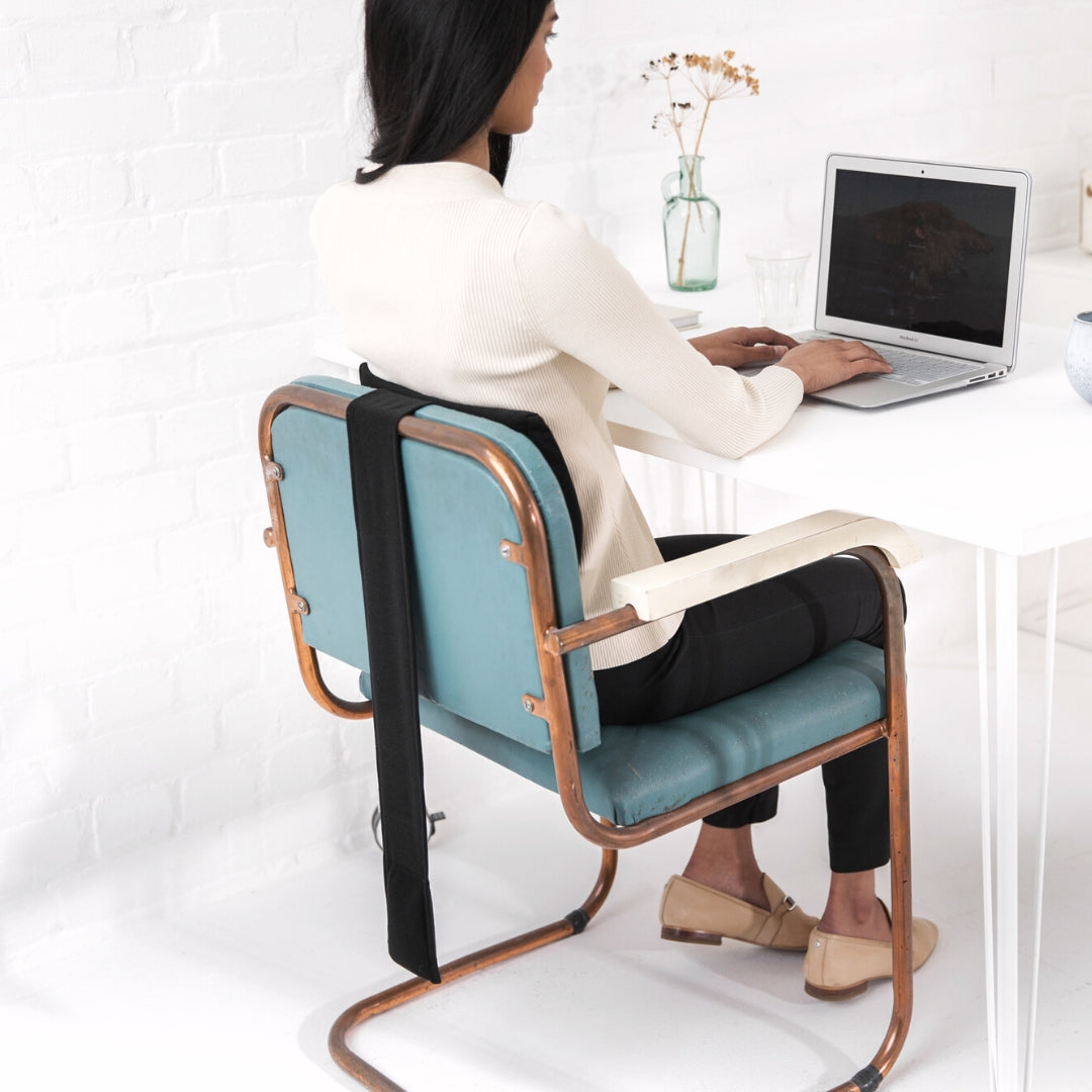 Weighted Lumbar Support Cushion