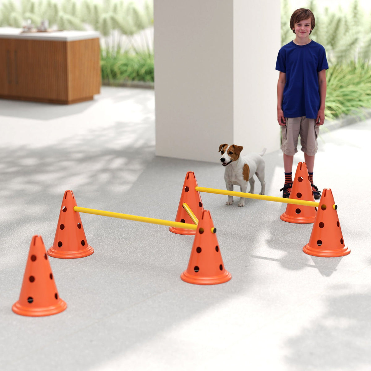 PawHut Dog Agility Equipment Set, 3 PCS Adjustable Height Jumping Obstacles
