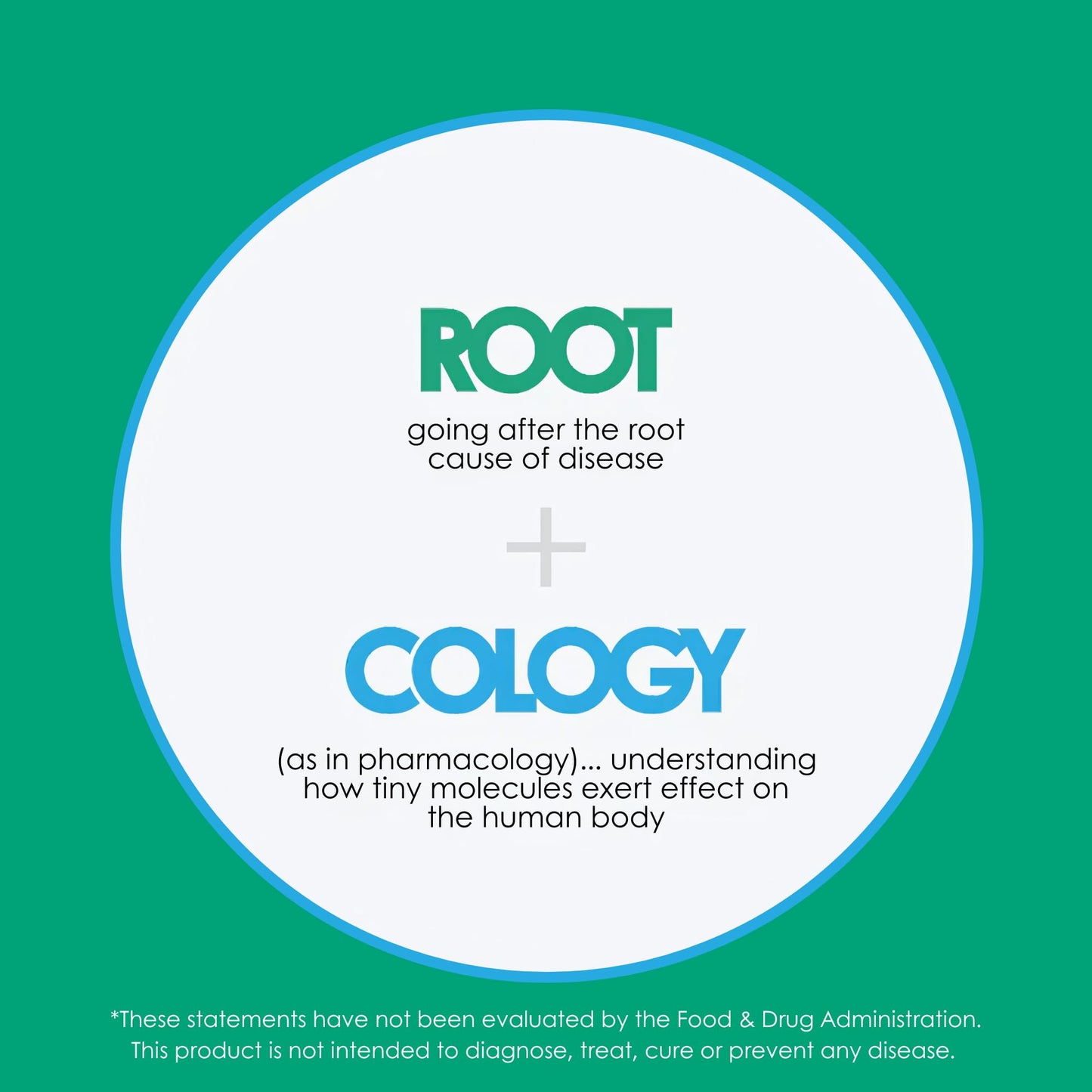 Rootcology by Dr. Izabella Wentz - Black Cumin Seed Extract | Digestive & Skin Support | 60 Softgels