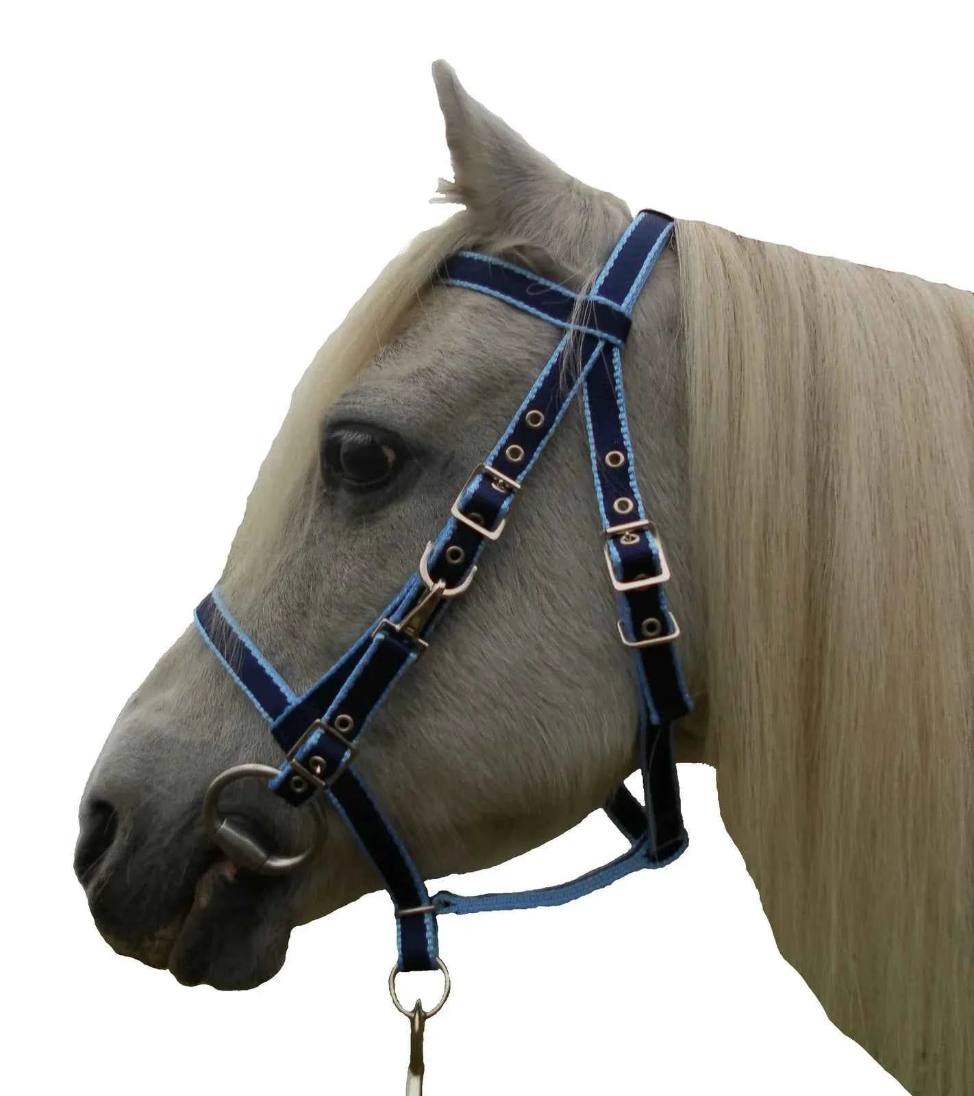 Endurance Combination Bridle