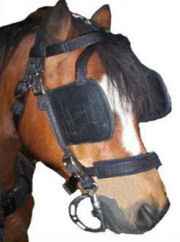 Ultimate Driving Bridle