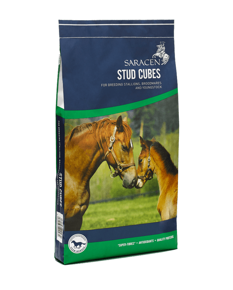 Saracen Stud Cubes 20kg