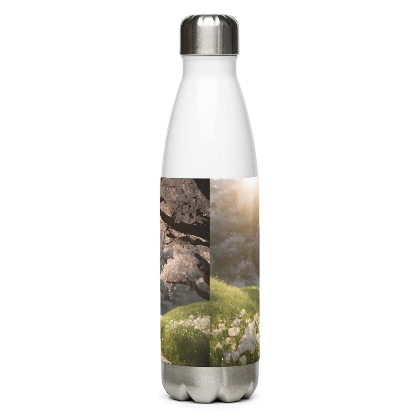 Stainless steel water bottle