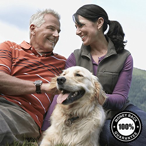 Swanson Gamma Oryzanol from Rice Bran 60 mg Veg Caps (3 Pack) - Antioxidant & Hormone Support