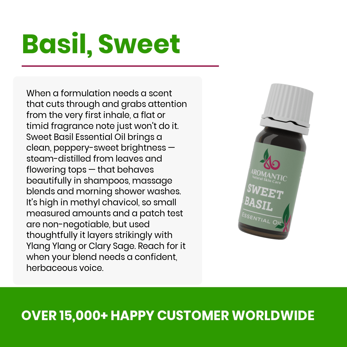 Sweet Basil Essential Oil