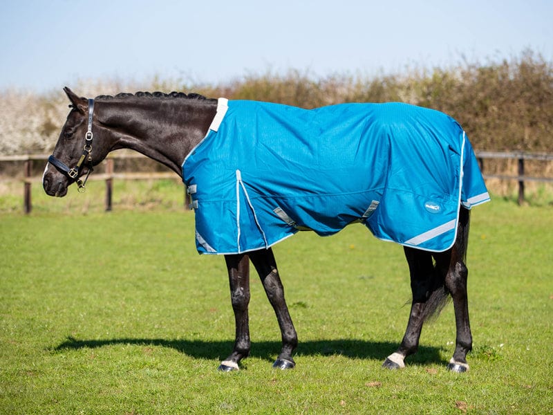 100g Detachable Neck Turnout Rug - Turquoise