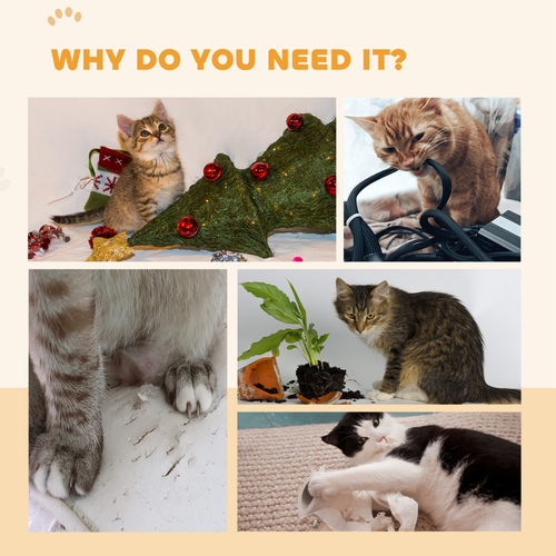 https://images.avasam.com/?w=500&url=https://avasamnew.s3.amazonaws.com/product/GB010126/S0671607216/8.png