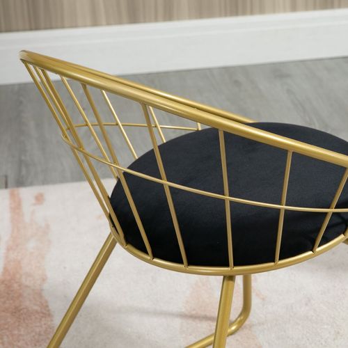 Metal Wire Dining Chairs Set of 2, Steel Frame for Kitchen Gold