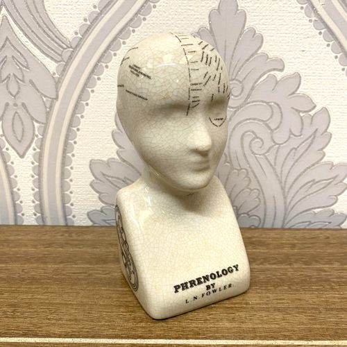 Geko Ceramic Phrenology Head 17cm