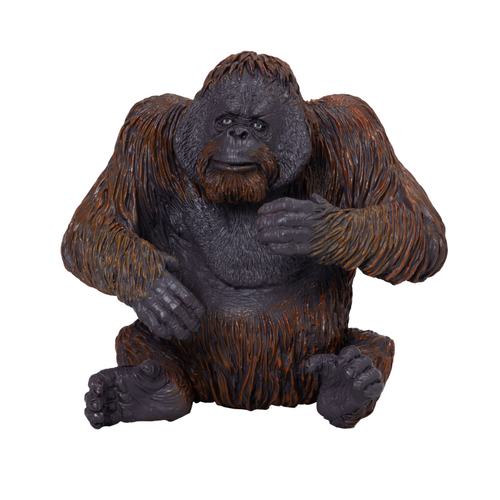 https://images.avasam.com/?w=500&url=https://avasamnew.s3.amazonaws.com/product/GB010278/S0671612875/main.png