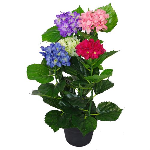 https://images.avasam.com/?w=500&url=https://avasamnew.s3.amazonaws.com/live/GB010188/V0671435505_0.jpg
