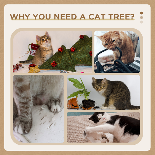 https://images.avasam.com/?w=500&url=https://avasamnew.s3.amazonaws.com/product/GB010126/S0671347300/6.png