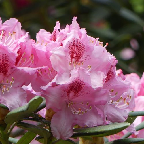 https://images.avasam.com/?w=500&url=https://avasamnew.s3.amazonaws.com/live//Shutterstock_1170050746.jpg