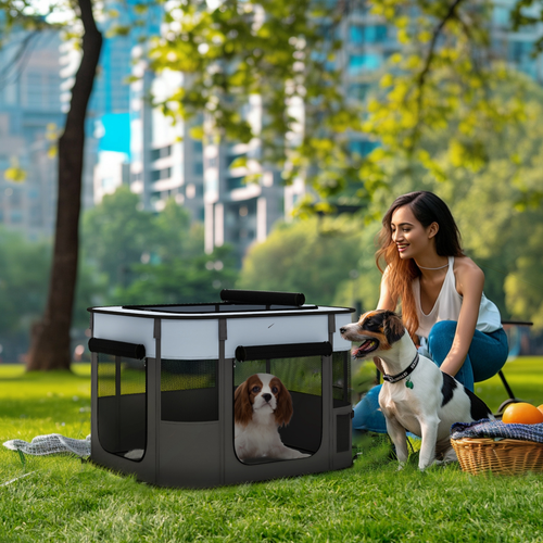 https://images.avasam.com/?w=500&url=https://avasamnew.s3.amazonaws.com/product/GB010126/S0671452521/2.png