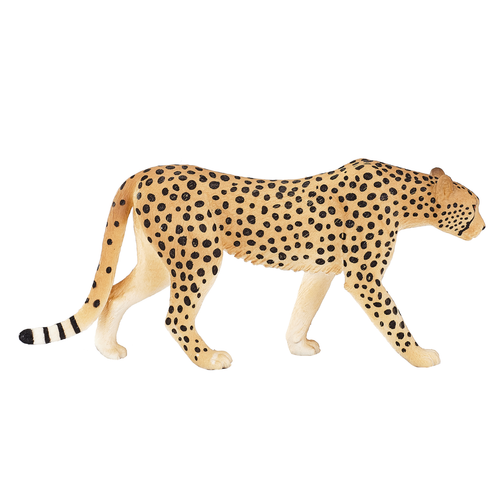 https://images.avasam.com/?w=500&url=https://avasamnew.s3.amazonaws.com/product/GB010278/S0671612997/3.png