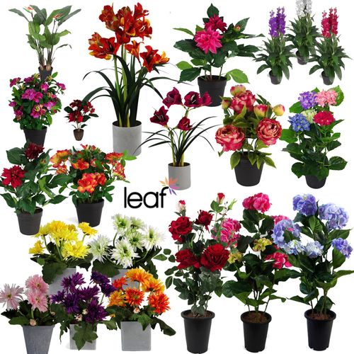 https://images.avasam.com/?w=500&url=https://avasamnew.s3.amazonaws.com/live/GB010188/S0671426789_0.jpg