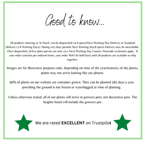 https://images.avasam.com/?w=500&url=https://avasamnew.s3.amazonaws.com/live//WeareratedEXCELLENTonTrustpilot_4_ce5d9594-6634-432c-802b-45551741b5c1.png