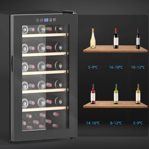 HOMCOM 41 Bottle Wine Cooler Fridge, Freestanding Wine Refrigerator