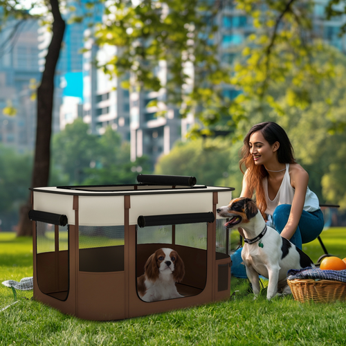 https://images.avasam.com/?w=500&url=https://avasamnew.s3.amazonaws.com/product/GB010126/S0671452522/2.png