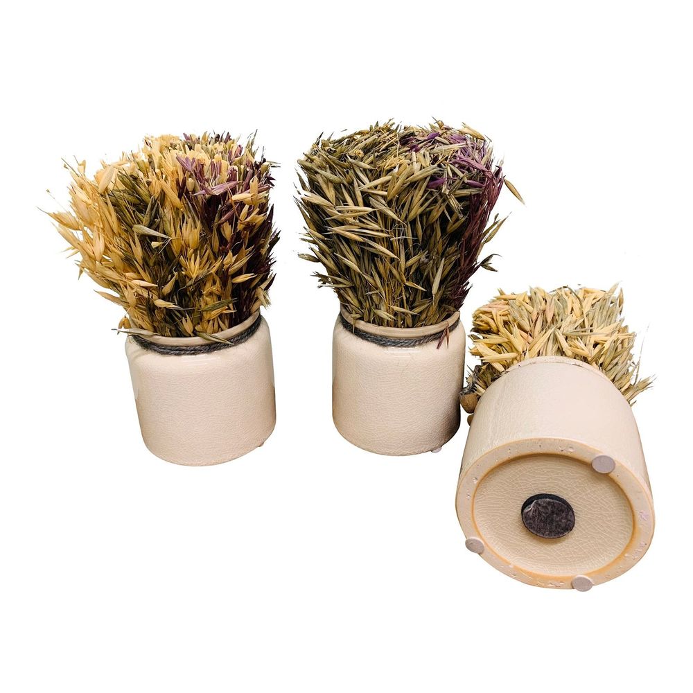 Dried Grasses in Ceramic Pots - Rustic Charm for Home Decor
