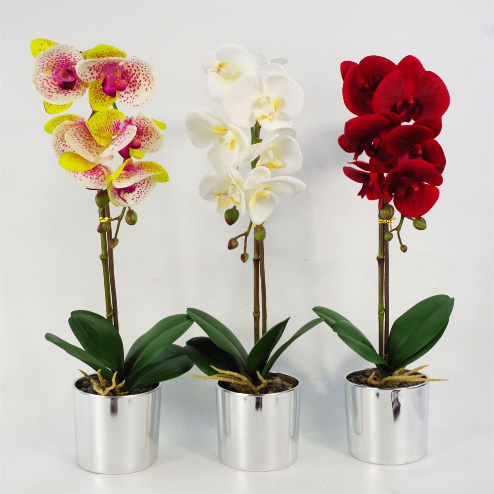 Premium Red Orchid: Realistic, Silver Pot