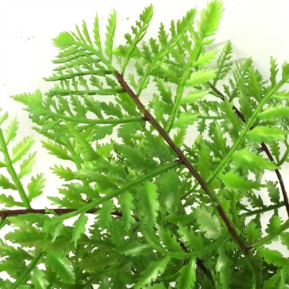 Realistic 30cm Artificial Southern Wood Fern - High Quality Potted Plant