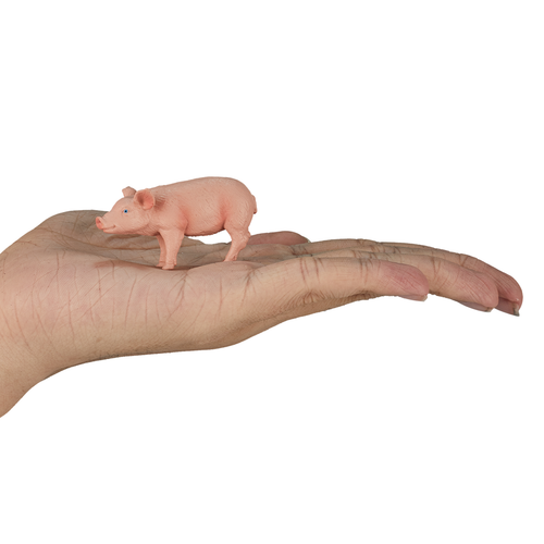https://images.avasam.com/?w=500&url=https://avasamnew.s3.amazonaws.com/product/GB010278/S0671612876/4.png