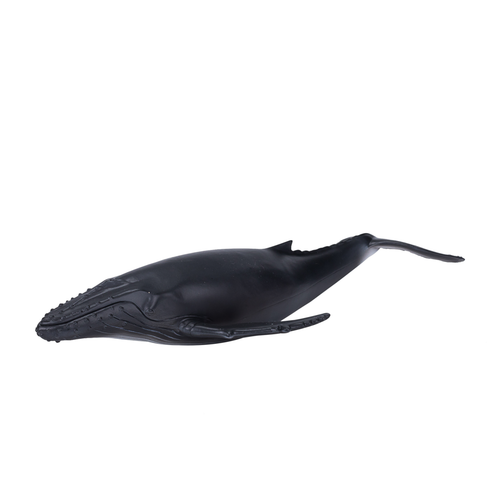 https://images.avasam.com/?w=500&url=https://avasamnew.s3.amazonaws.com/product/GB010278/S0671612988/2.png