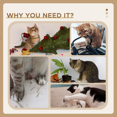 https://images.avasam.com/?w=500&url=https://avasamnew.s3.amazonaws.com/product/GB010126/S0671081222/6.png