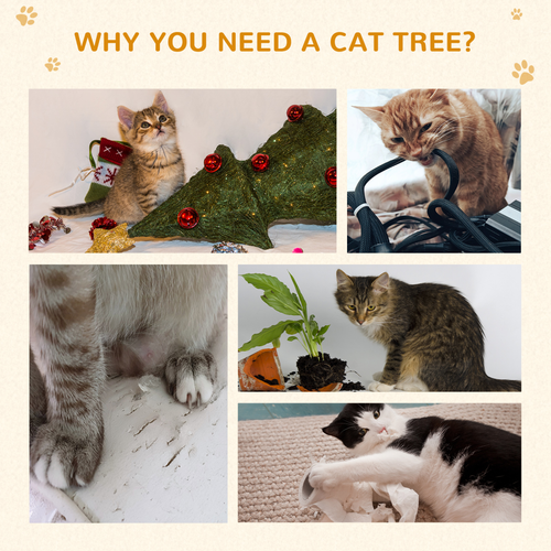 https://images.avasam.com/?w=500&url=https://avasamnew.s3.amazonaws.com/product/GB010126/S0671634647/7.png