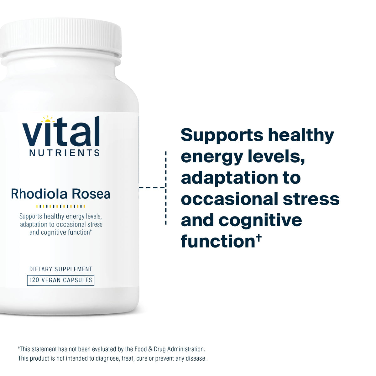Vital Nutrients Rhodiola Rosea | Energy, Memory & Stress Support | 120 Capsules | Gluten, Dairy & Soy Free | Non-GMO