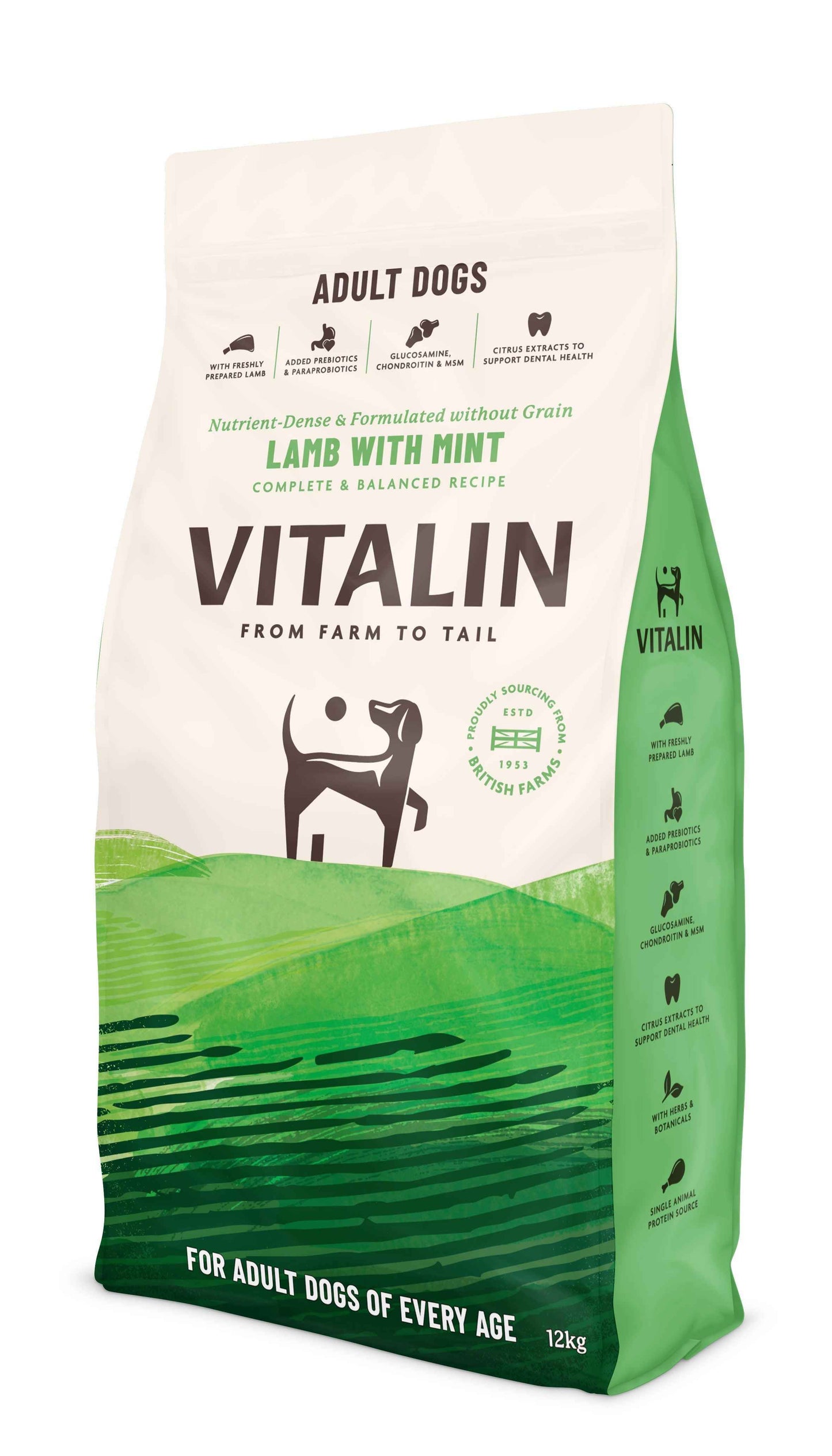 Vitalin Adult Lamb Mint 12kg