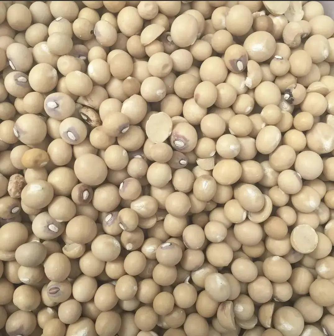 WHOLE OKPA SEEDS - Bambara Beans 1kg
