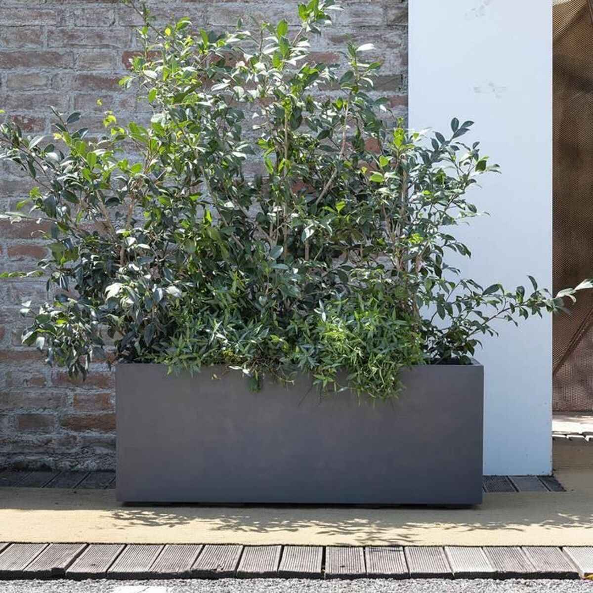 Plant pot Deroma Anthracite 99 cm Plastic Rectangular Modern