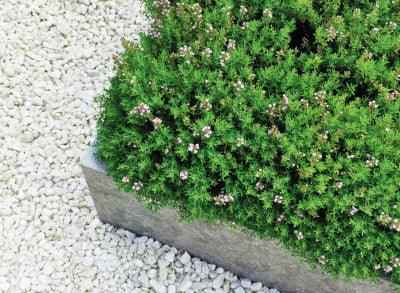 9-12mm Polar White Chippings