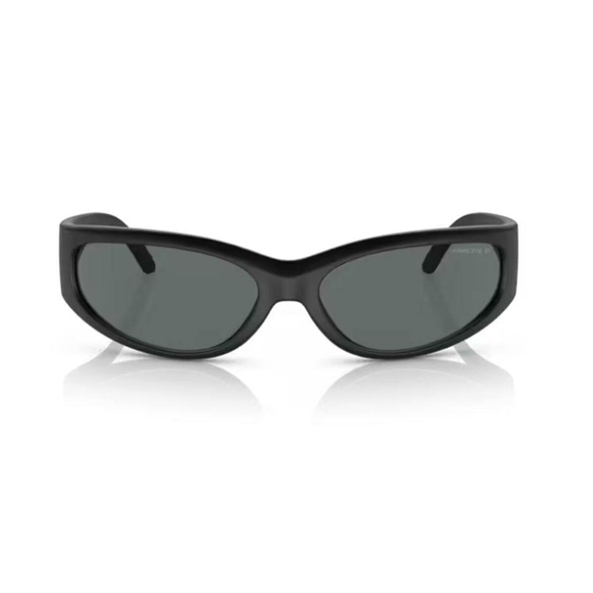 Men's Sunglasses Arnette CATFISH AN 4302