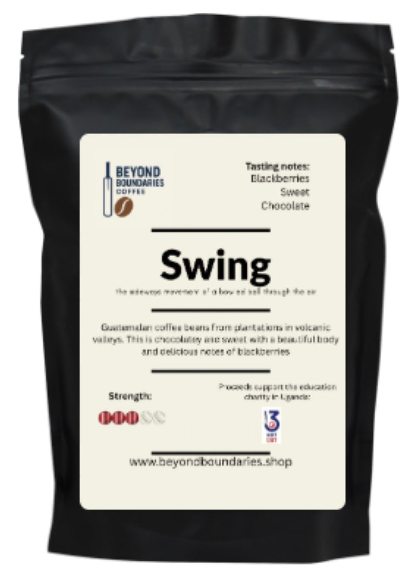 Swing 1kg