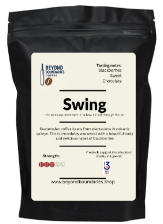 Swing 1kg