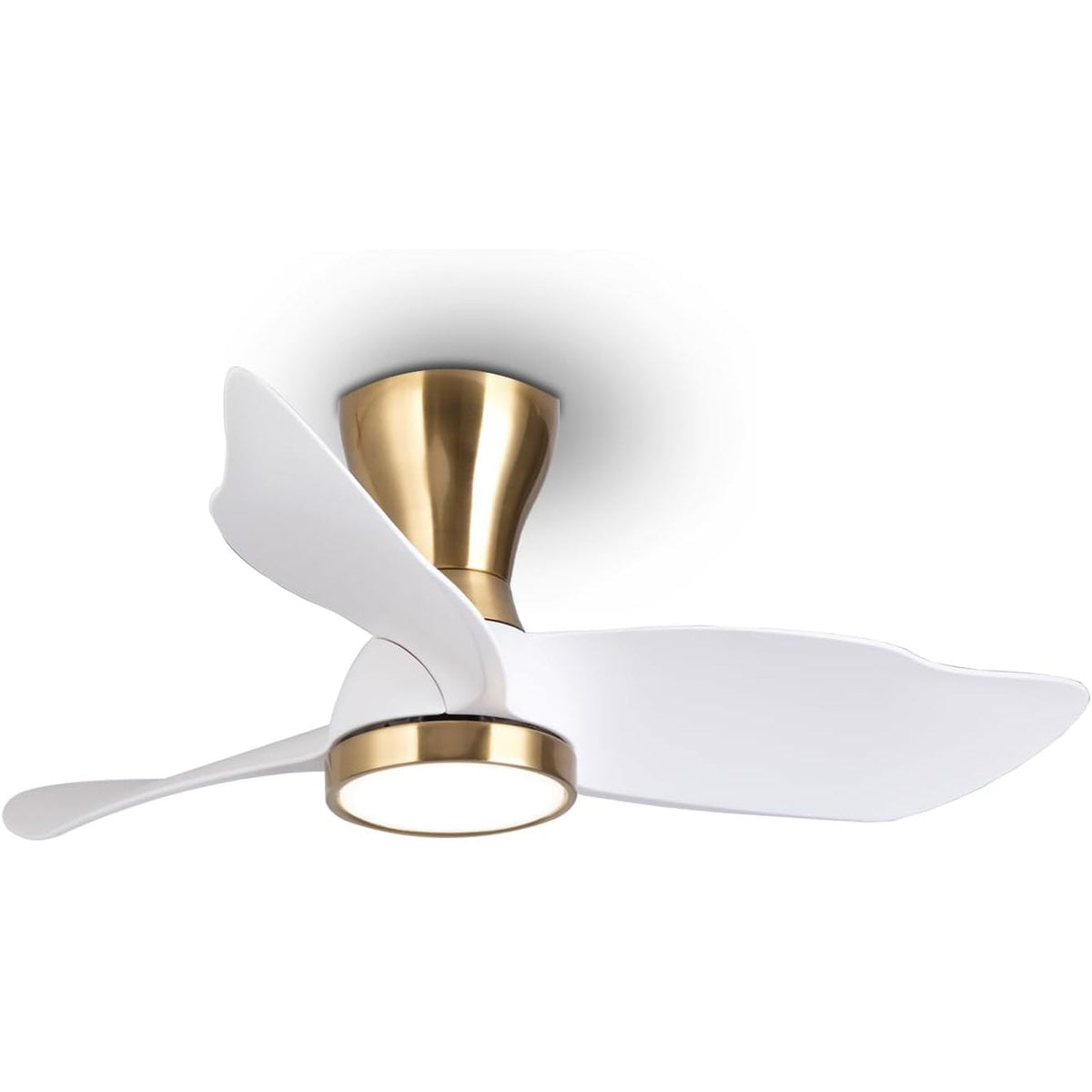 Reiga 91cm Flush Mount DC Ceiling Fan with Dimmable Light & Remote, Modern Style