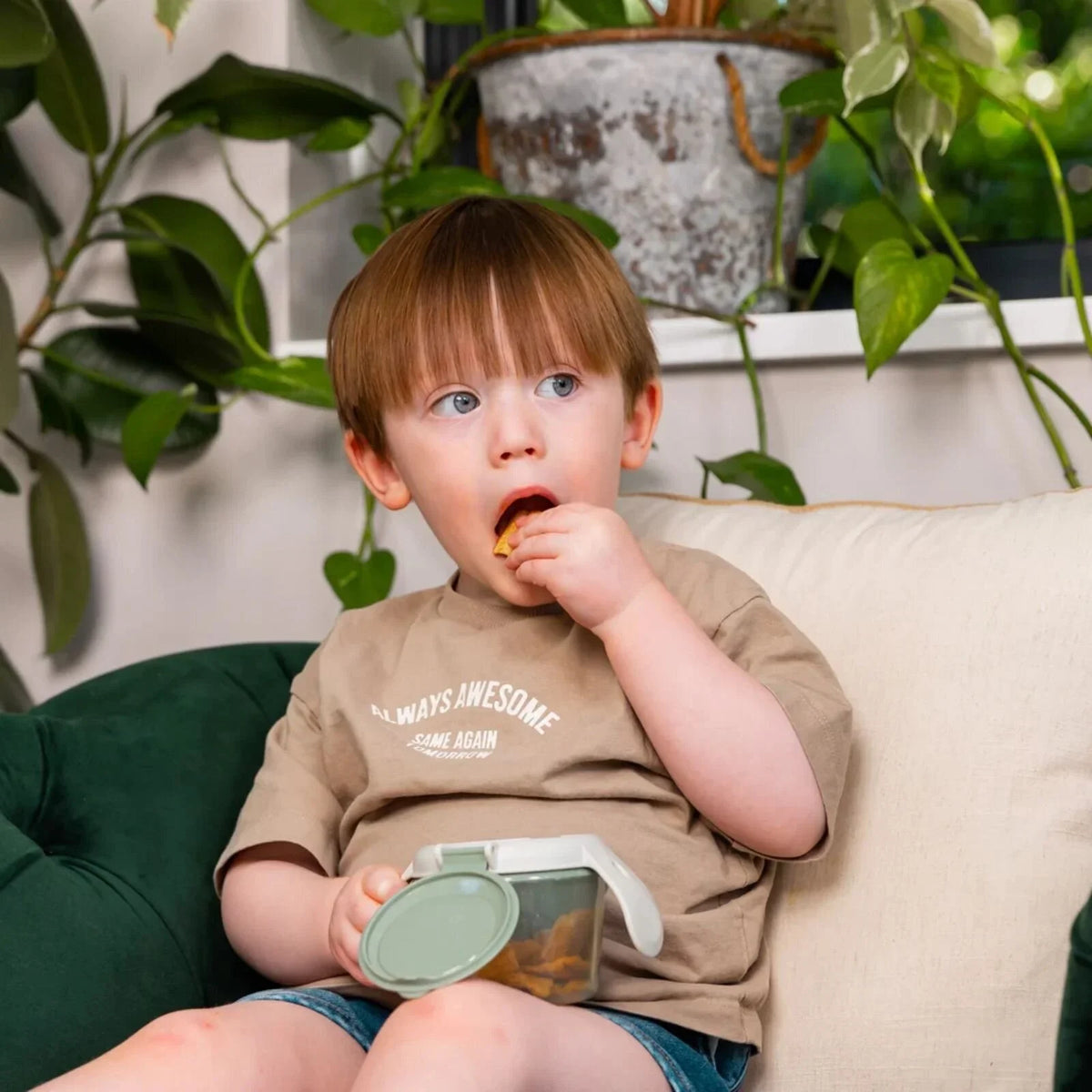 Vital Baby Nourish Snack On the Go - Natural Grape