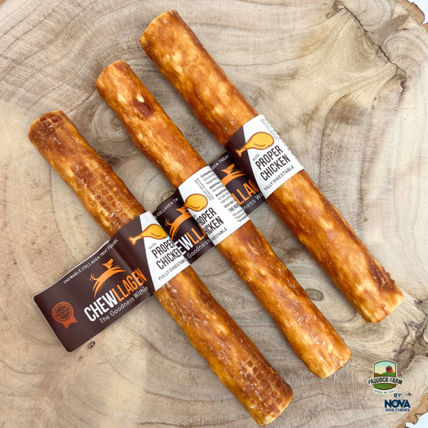 Chewllagen Roll with Proper Chicken 10 - Case of 15