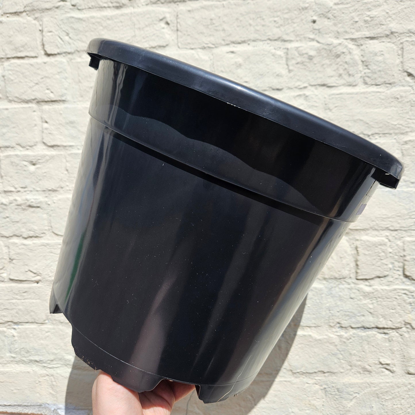 Black Plastic Nursery Pots
