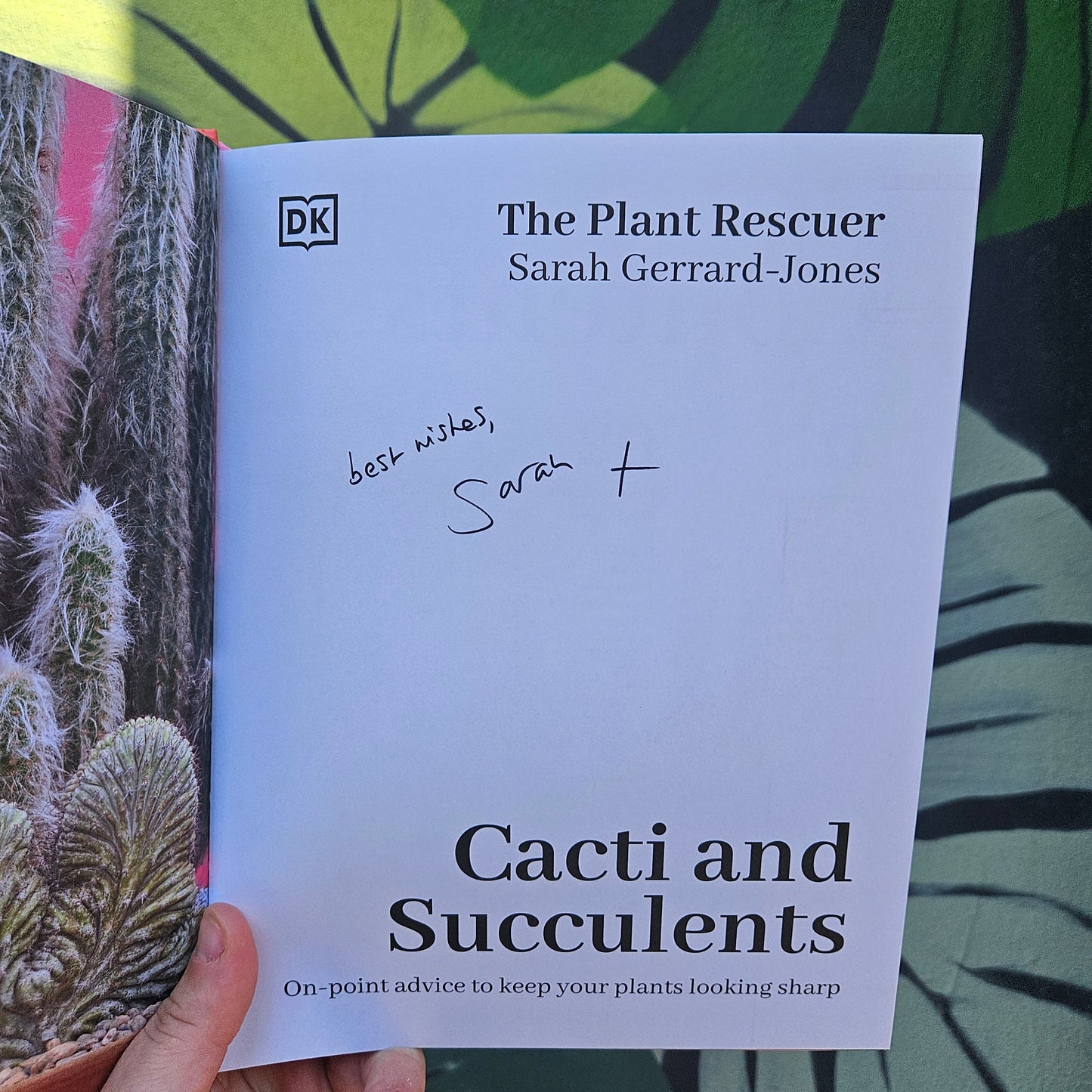 Cacti and Succulents by Sarah Gerrard-Jones