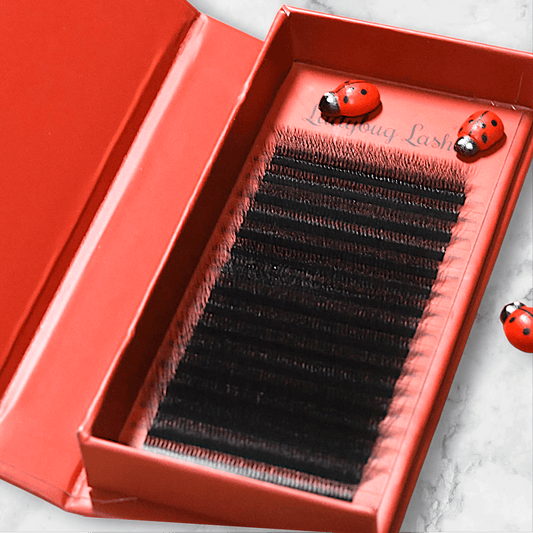 10D Clover Lash Mixed Tray