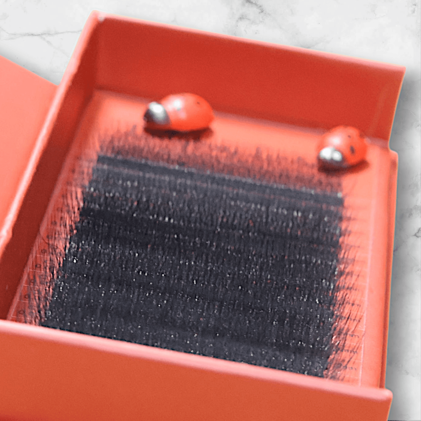 10D Clover Single Length